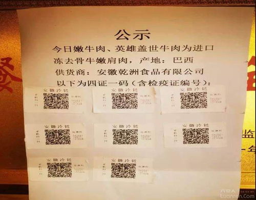陽光下的冷鏈 六安金安如何守護“舌尖上的安全”——聚焦食品流通環節全程監管